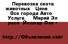 Перевозка скота животных › Цена ­ 39 - Все города Авто » Услуги   . Марий Эл респ.,Йошкар-Ола г.